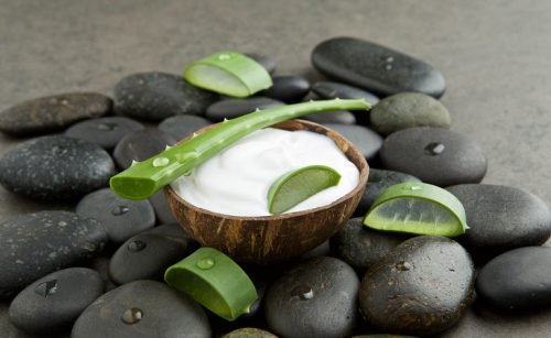 aloe vera