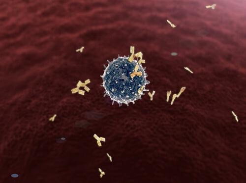 bağışıklık sistemi