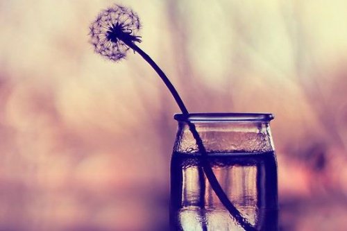 hayatlarını başkaları için yaşayan kadınlar