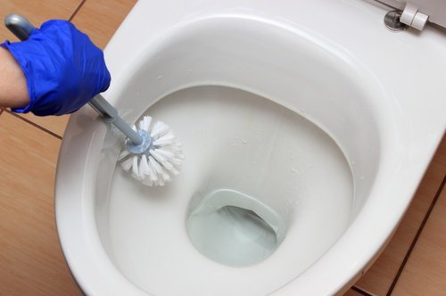 fırça ve eldivenle klozet temizlemek