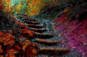 Yaşamın Merdiveni: Her Gün 5 Adımda Kendinizi Nasıl Geliştirirsiniz?