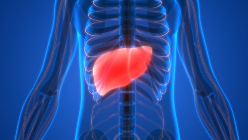 Karaciğer Yetmezliği: Nedenleri ve Semptomlar