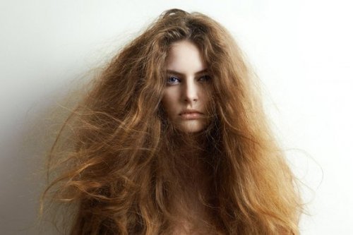 Kuru Saçların Tedavisi İçin 5 Doğal Bileşen