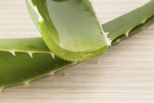 aloe vera jeli