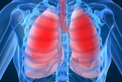 Akciğer Sağlığı: 10 Tehlike İşareti