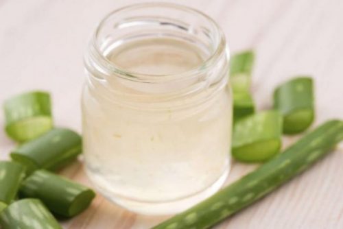 aloe vera