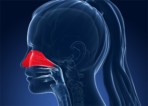 burun tıkanıklığı