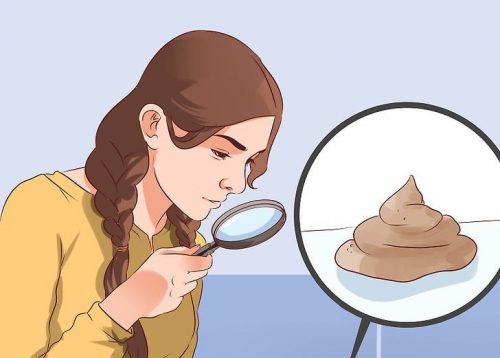 Farklı Dışkı Renkleri Ne Anlama Gelir?