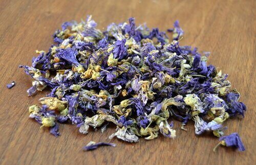 ebegümeci çiçekleri