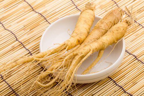 ginseng kökü