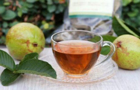 guava yaprak çayı