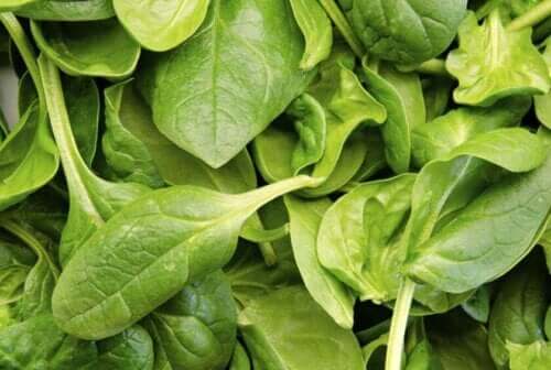 ıspanak yaprakları