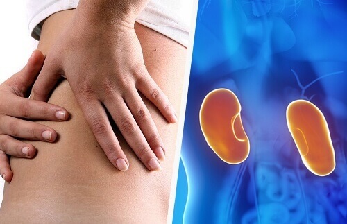 Böbreklerinize Nasıl Bakmalısınız? 6 Tavsiye Böbreklerinize Nasıl Bakmalısınız? 6 Tavsiye