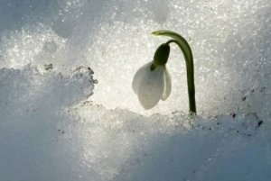 "Sisu", Zor Zamanlar İçin Finlandiya'ya Özgü İnanılmaz Strateji