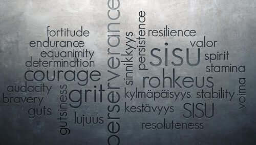 sisu ile ilgili kelimeler