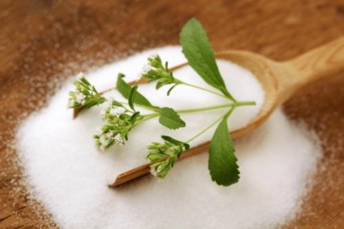 bir kaşık stevia