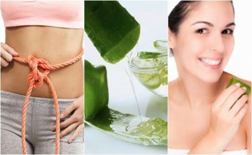 Aloe Vera Jelinin 9 İyileştirici Özelliği