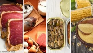 Yüksek Miktarda Toksin İçeren Gıdalar