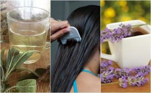 Bitlerden Doğal Yollarla Kurtulmak İçin 5 Bitkisel Reçete