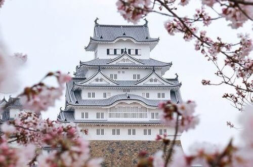 japon binası