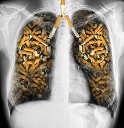 sigara izmaritleri dolmuş ciğerler 