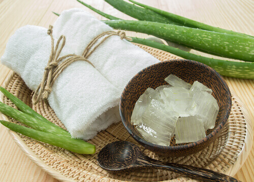 aloe vera dilimleri