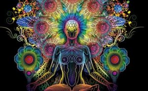 Beyin Epifizi: Döngülerinizin Düzenleyicisi ve Üçüncü Göz