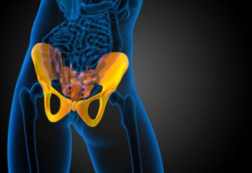 kalça kemiği görseli