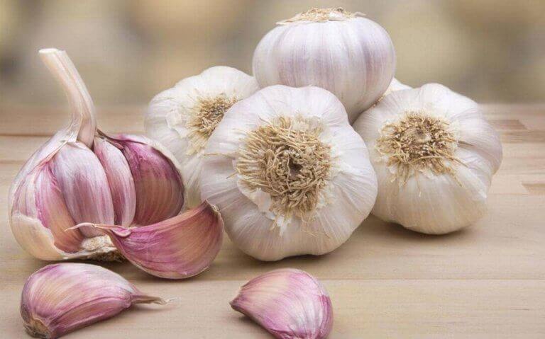 sarımsak