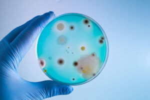 İnsanlar için Zararlı Olan Bu 9 Tehlikeli Bakteriye Dikkat Edin 