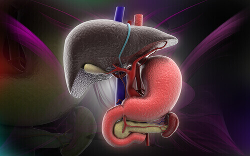 yağlı karaciğer hastalığının belirtileri