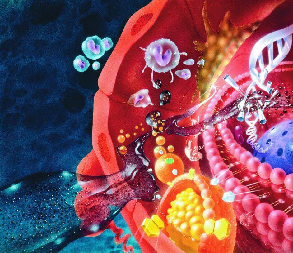 patlıcanın faydaları