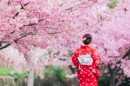 Bu Japon Bilgeliği İle Her Geçen Gün Daha Mutlu Olun
