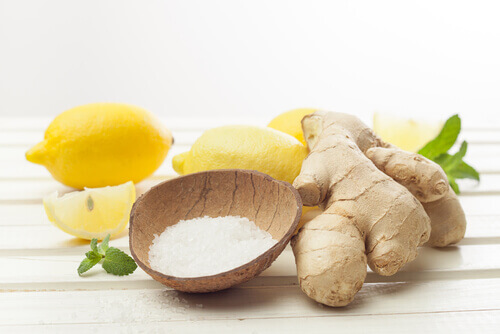 tuz ve zencefil karışımı