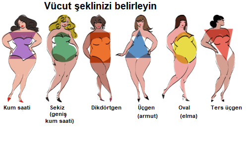 vücut tipleri