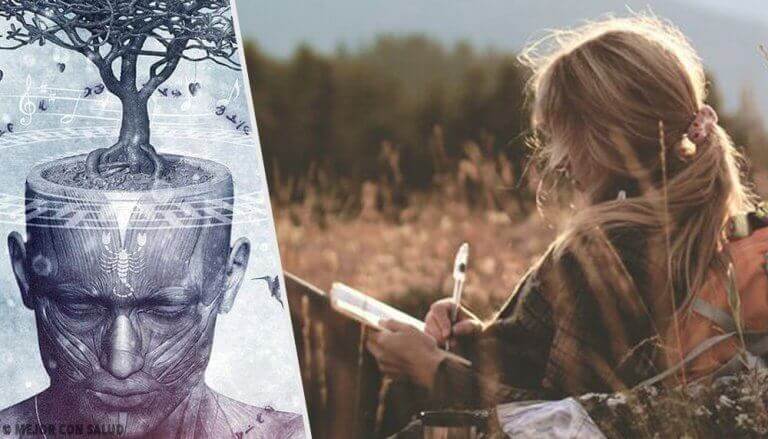 ağaç gibi düşünceler