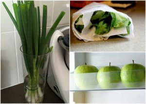 Yiyeceklerinizi Uzun Süre Taze Tutmanız için 9 İpucu