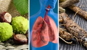 Daha İyi Nefes Almak ve Akciğerinizi Güçlendirmek İçin Bu 4 Ev Yapımı Reçeteyi Deneyin
