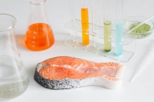 Asla Yememeniz Gereken 6 Riskli Balık Türü