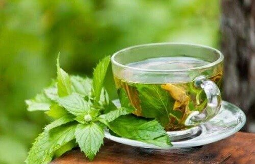 melisa çayı