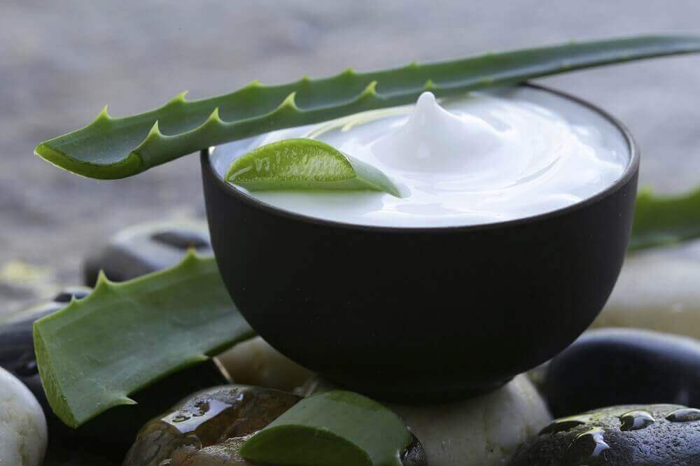 aloe verayla sağlıklı saçlar