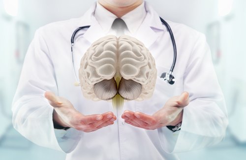 doktor avuçlarında beyin
