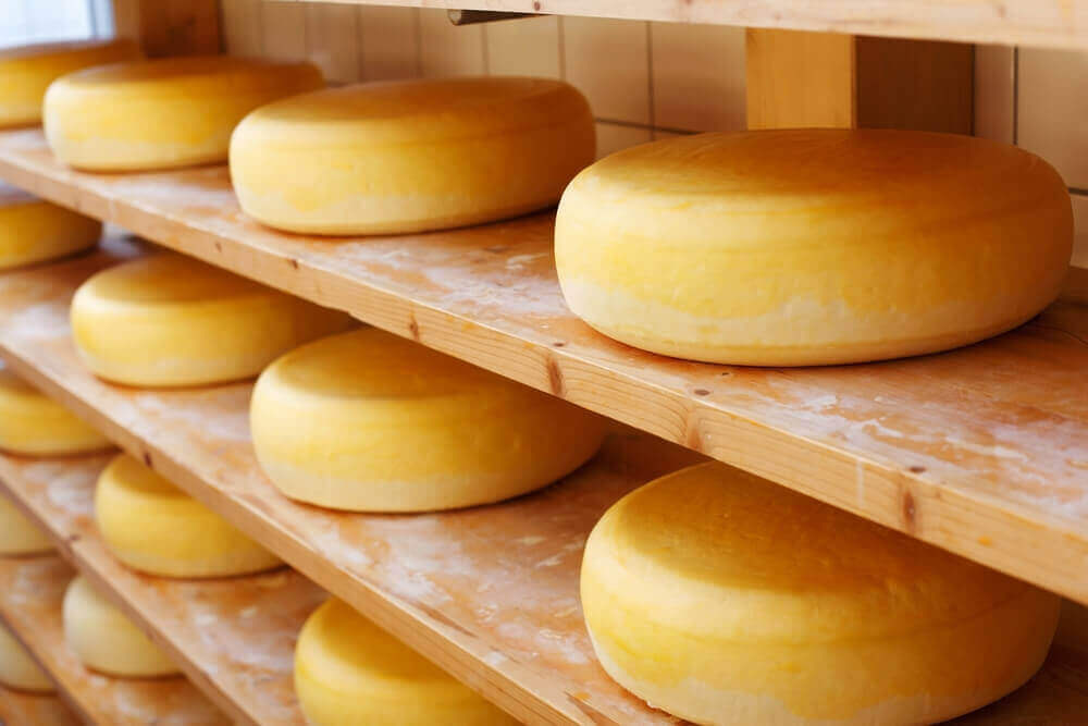 raflarda duran çedar peyniri