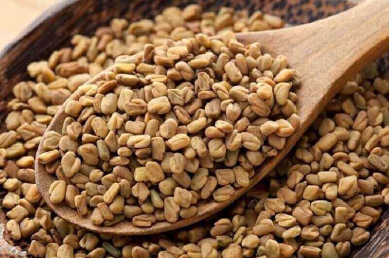çemen otu