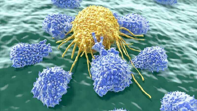 kanser hücreleri