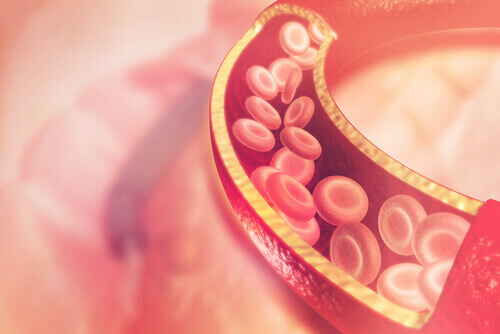 hucreler ve kolesterol