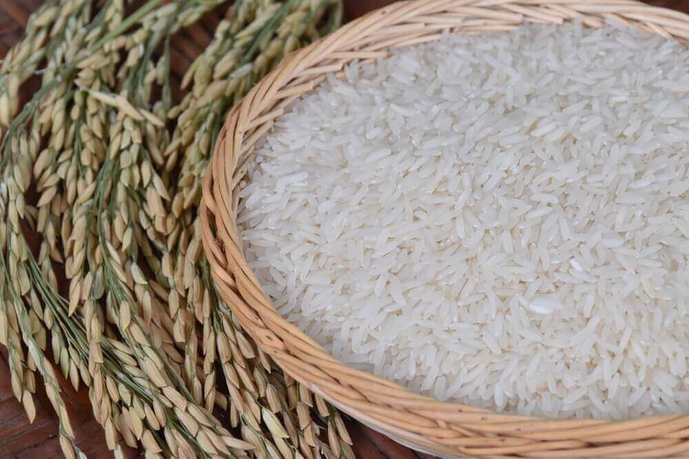 bir kap pirinç tanesi
