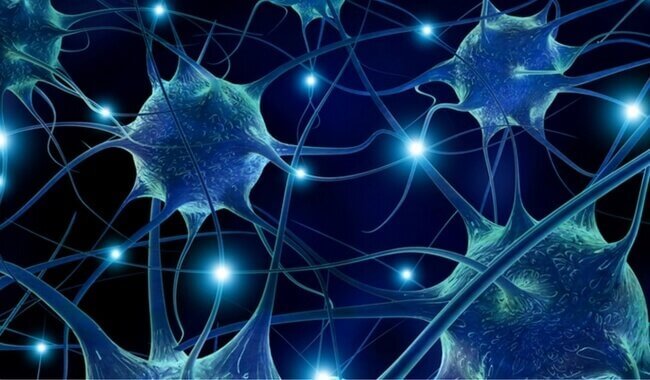 temsili nöronlar
