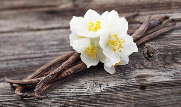 vanilya çiçeği evinize güzel bir koku vermek için idealdir