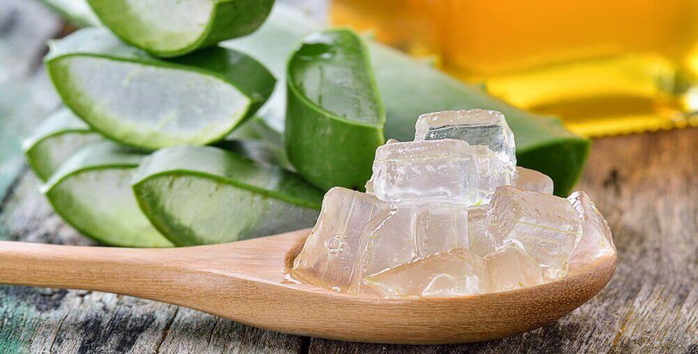 kaşıkta aloe vera jeli